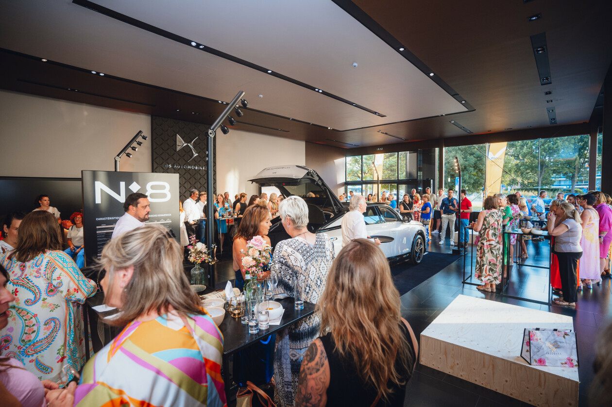 DS soiree artikel 3
